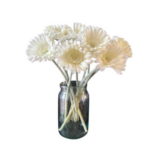 Flourify - Kunstbloem - Gerbera - 50 cm - Bundel van 14 stuks - vtwonen shop