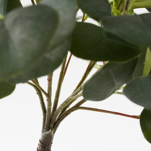 Mica Decorations Eucalyptus Kunstplant in Bloempot - H75 x Ø15 cm - Groen  - vtwonen shop