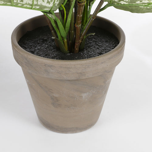 Mica Decorations Dieffenbachia Kunstplant in Bloempot Stan - H70 x Ø55 cm - Groen