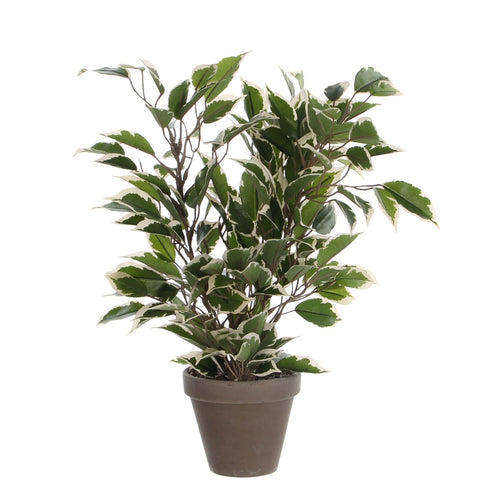 Mica Decorations Ficus Natasja Kunstplant in Bloempot Stan - H40 x Ø30 cm - Groen Bont