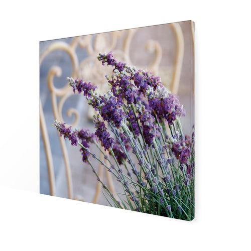 Art for the Home Lavendel Harmonie Buitencanvas 50x50 cm - vtwonen shop