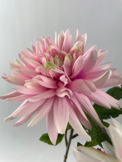 My Flowers.shop Gemengde kleuren dahlia zijden bloem | Lengte 67 centimeter | Per stuk - vtwonen shop