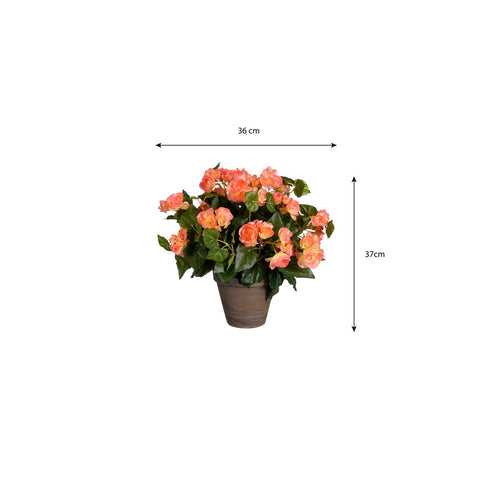 Mica Decorations Begonia Kunstplant in Bloempot Stan - H37 x Ø36 cm - Zalmroze
