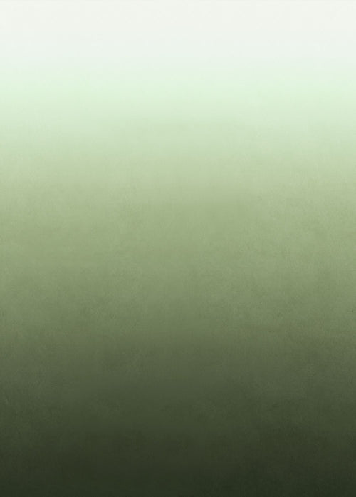 ESTAhome fotobehang kamerhoog dip dye kleurverloop groen - 200 x 279 cm - 159446 - vtwonen shop