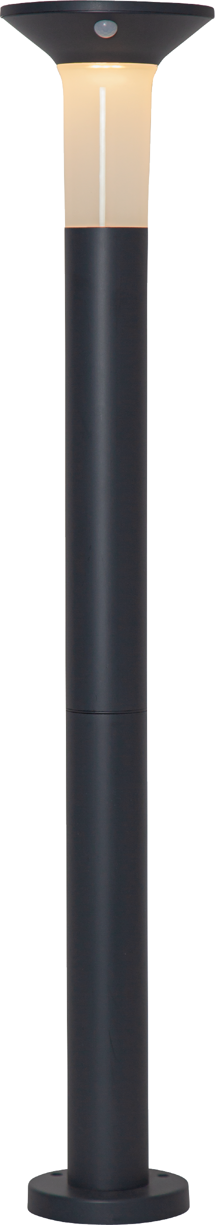 EGLO staande lamp buiten Corbezzola - led - 90 cm - sensor - grafiet - vtwonen shop