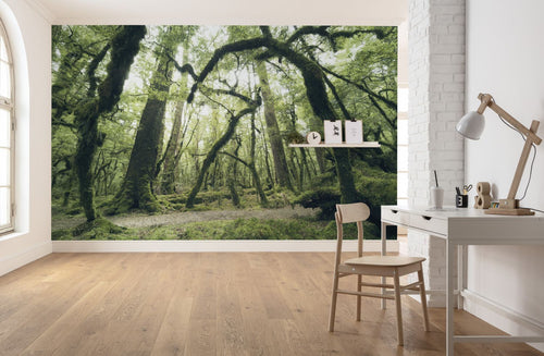 Sanders & Sanders fotobehang bos groen - 450 x 280 cm - 612685