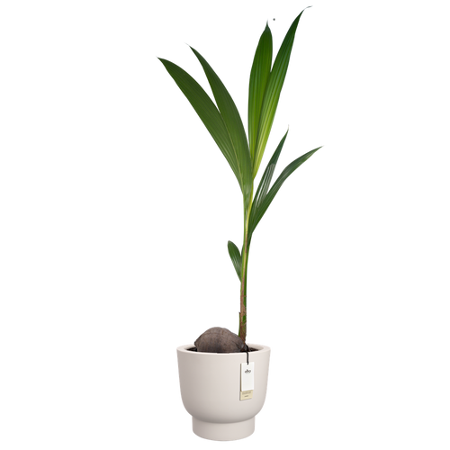 elho amber grail 40 linnen wit | Bloempot |Premium statementdesign