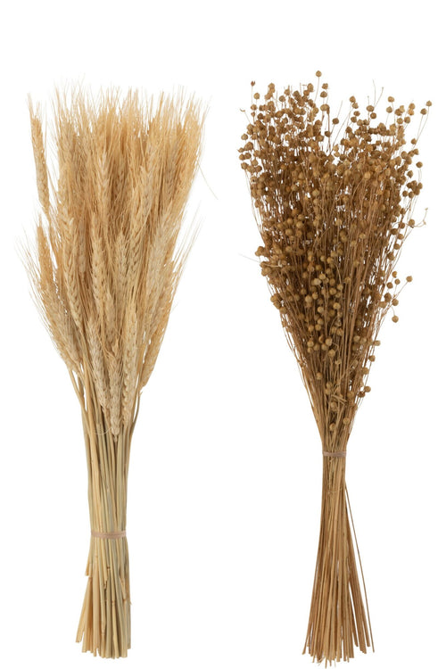 J-Line droogbloemen - Bundel gedroogde Vlas + Tarwe grass - naturel - 2 stuks