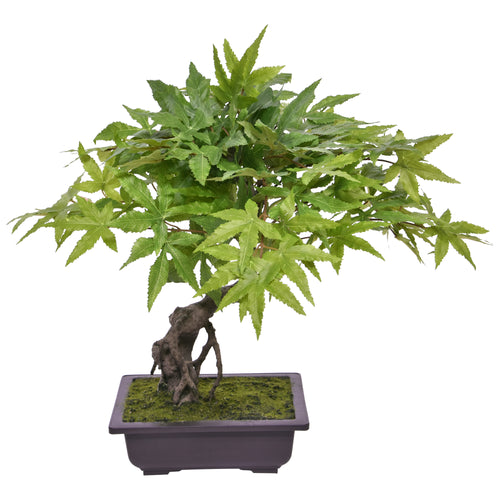 Maxifleur Acer Kunst Bonsai 50cm groen
