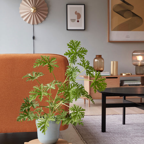 Hübsch wandlamp Pliss - katoen/ijzer - ø48xh16cm, e27