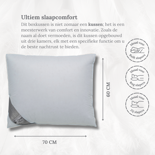 Ten Cate boxkussen - 3-kamer eendendons - 60x70