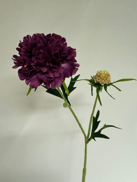 My Flowers.shop Paarse scabiosa zijden bloem | Lengte 59 centimeter | Per stuk - vtwonen shop