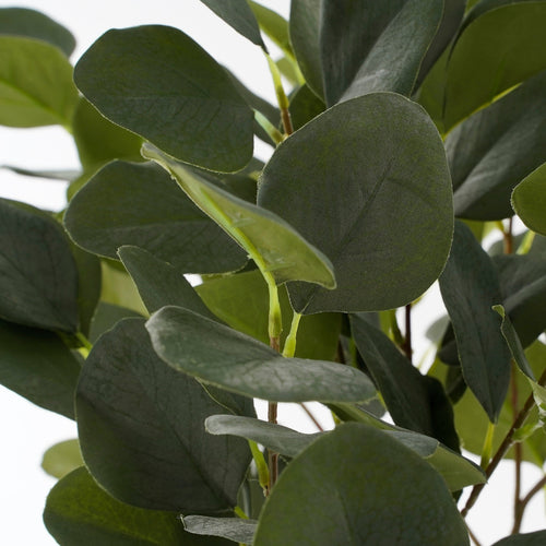 Mica Decorations Eucalyptus Kunstplant in Bloempot - H75 x Ø15 cm - Groen  - vtwonen shop