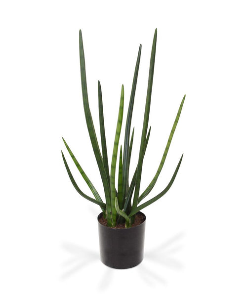 Maxifleur Sanseveria Cylindrica kunstplant 75cm - groen