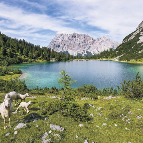 Sanders & Sanders fotobehang berglandschap groen en blauw - 400 x 250 cm - 612541