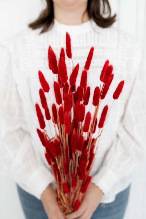 My Flowers.shop Rood gedroogde Hazenstaartjes | Rode Lagurus Ovatus droogbloemen | Lengte ± 70 cm | Per bos - vtwonen shop