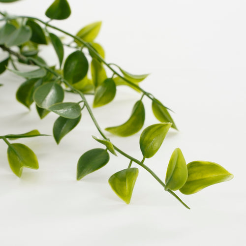 Mica Decorations Ficus Kunst Hangplant - H81 cm - Groen - vtwonen shop