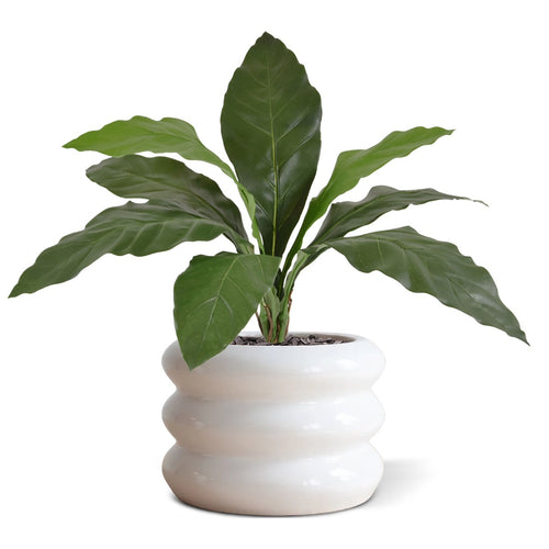 Maxifleur Anthurium Jungle King kunstplant 60cm