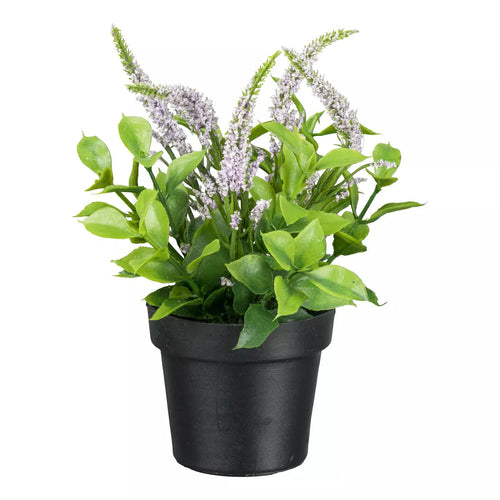Flourify kunstbloem - Veronica - 18 cm - bundel van 6 - vtwonen shop