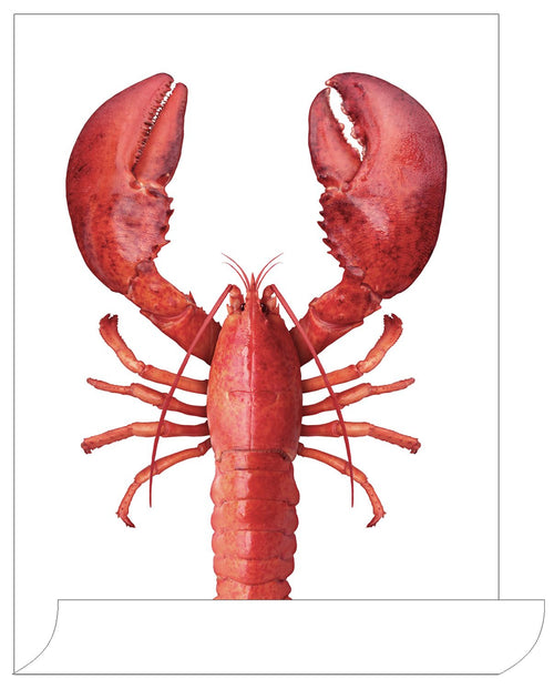 ESTAhome muursticker kreeft rood - 70 x 46.5 cm - 159045 - vtwonen shop