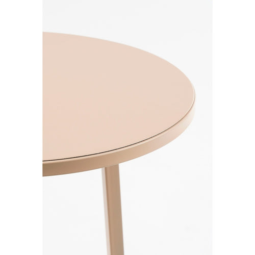 Mica Decorations Adine Plantentafel - H80 x Ø30 cm - Metaal - Lichtroze
