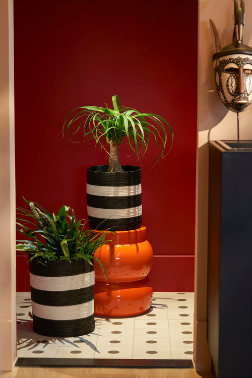 Mica Decorations Nacho Mand - Set van 2 - H34 x Ø29 - FSC Mix - Zwart, Wit - vtwonen shop