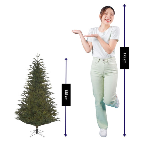 Black Box Trees Frasier - Kerstboom met Volle Uitstraling en 1298 Takken - Kerstversiering voor Binnen - Kunstboom Makkelijk Op te Zetten - H155 x