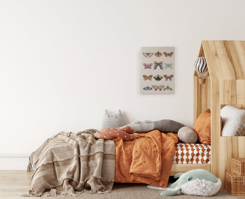 Canvas 60x40 Vlinders - vtwonen shop