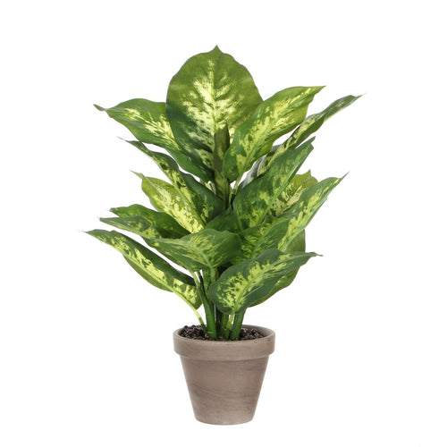 Mica Decorations Dieffenbachia Kunstplant in Bloempot Stan - H40 x Ø30 cm - Groen
