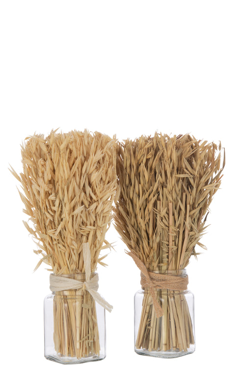 J-Line droogbloemen - Bundel gedroogde Avana gras in vaas - naturel - 2 stuks - vtwonen shop