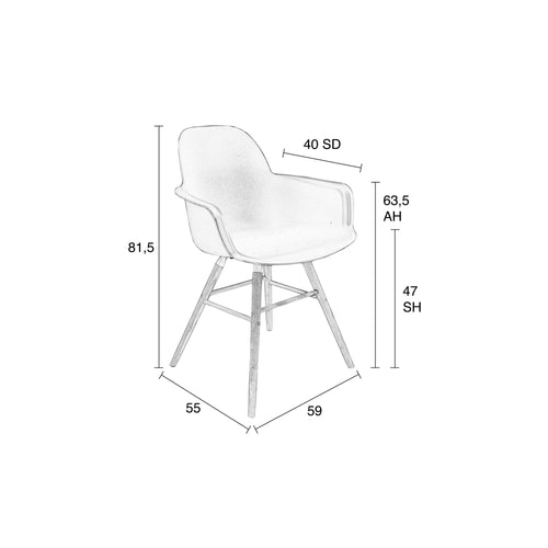 Zuiver Albert Kuip Eetkamerstoelen met armleuning Groen - Set van 2 - vtwonen shop