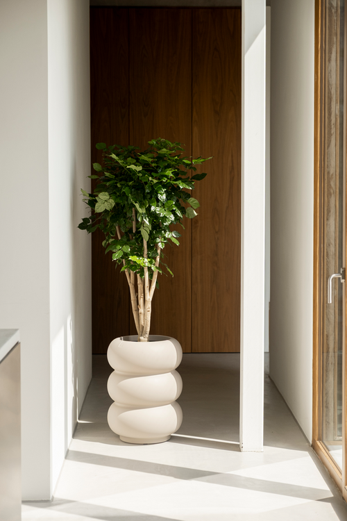 elho amber roll high 43 balanced beige | Bloempot |Premium statementdesign