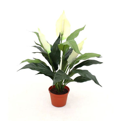 Maxifleur Spathiphyllum kunstplant 50cm