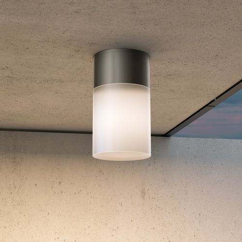 Maytoni Outdoor - Plafondlamp Willis - Zwart - Ø8 - vtwonen shop