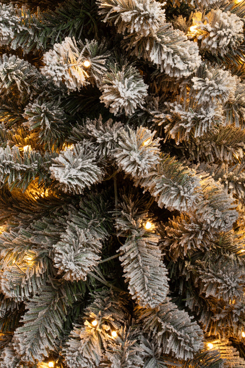 Black Box Trees Charlton Smalle Kunstkerstboom met Warm Witte LED Verlichting - H260 x Ø63 cm - Groen Frosted - vtwonen shop