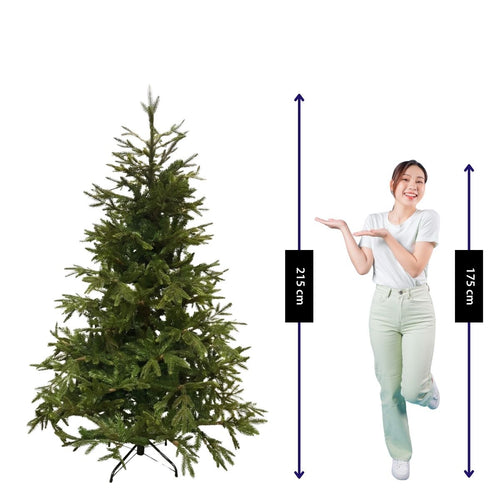 Black Box Trees Frasier Kerstboom - Kerstversiering voor Binnen met Natuurlijke Uitstraling - Kunstboom Grillige Vorm zoals Boom uit het Bos - H215 x