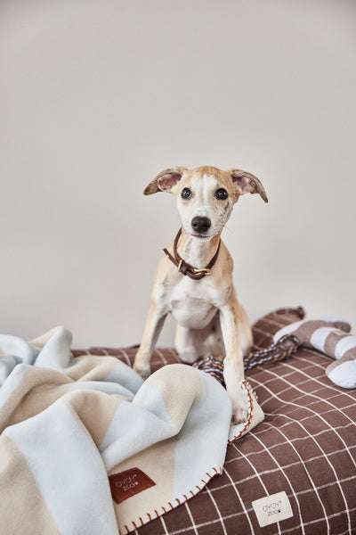 OYOY Speelgoed Otto - katoen - vtwonen shop