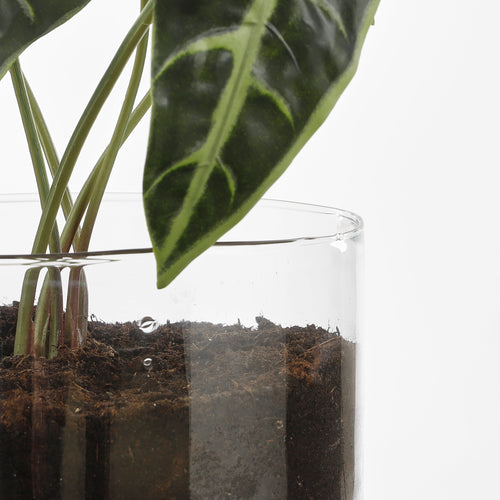 Mica Decorations Elements Bloempot met Bewateringssysteem - H22 x Ø19 cm - Glas - vtwonen shop