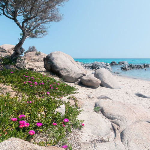 Sanders & Sanders fotobehang strand groen, grijs en blauw - 450 x 280 cm - 612642