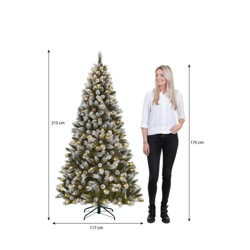 Black Box Trees Pittsfield Kunstkerstboom met LED Verlichting - H215 x Ø117 cm - Groen Frosted