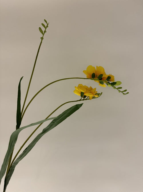 My Flowers.shop Gele zijden Freesia | Zijden bloemen | Lengte 88 centimeter | Per stuk - vtwonen shop