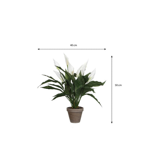 Mica Decorations Spathiphyllum Kunstplant in Bloempot Stan - H50 x Ø40 cm - Wit