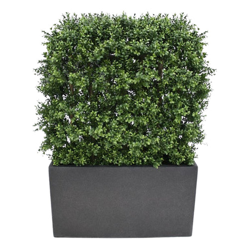 Maxifleur Buxus deluxe kunstheg 80x100cm - UV bestendig