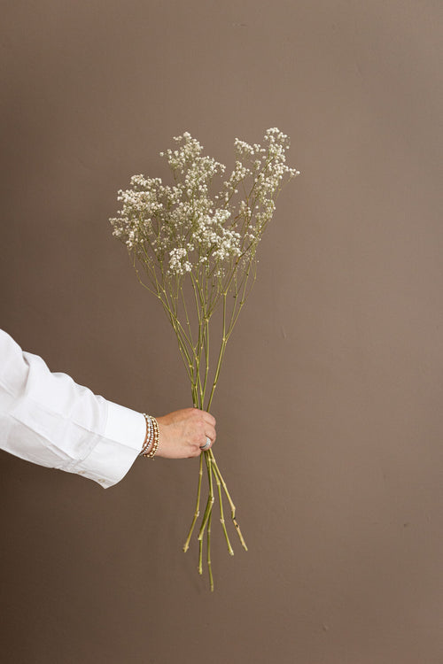 My Flowers.shop Natuurlijk wit gedroogd Gipskruid | Witte Gypsophila droogbloemen |  Lengte ± 60 cm | Per bos van 5 takken - vtwonen shop