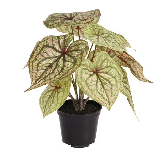 Maxifleur Syngonium Pink Ruby kunstplant 28cm in kweekpot