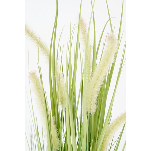 Mica Decorations Dogtail Gras Kunstplant - H53 x Ø30 cm - Groen