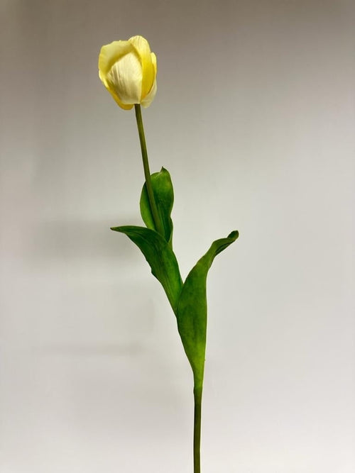 My Flowers.shop Cremekleurige tulp zijden bloem | Lengte 66 centimeter | Per stuk - vtwonen shop