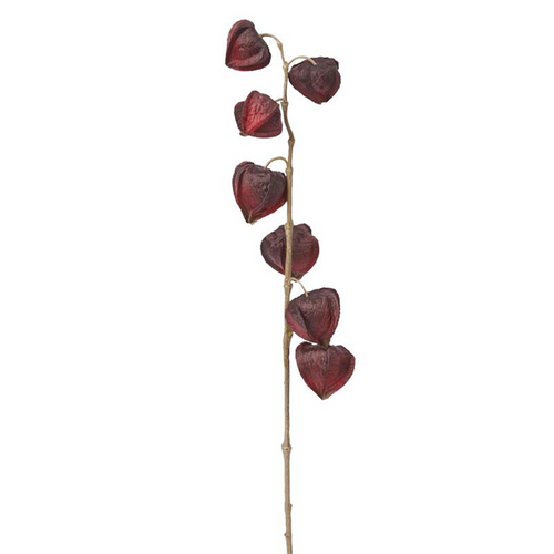 Sia Deco Kunstmatige Physalis Stengel - Bordeaux - H90 - vtwonen shop