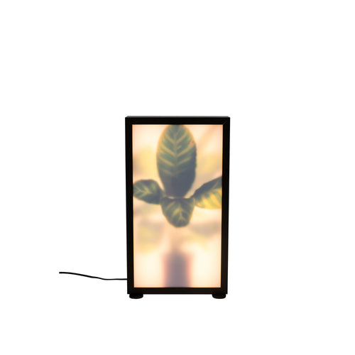 Zuiver Grow Vloerlamp M - Zwart