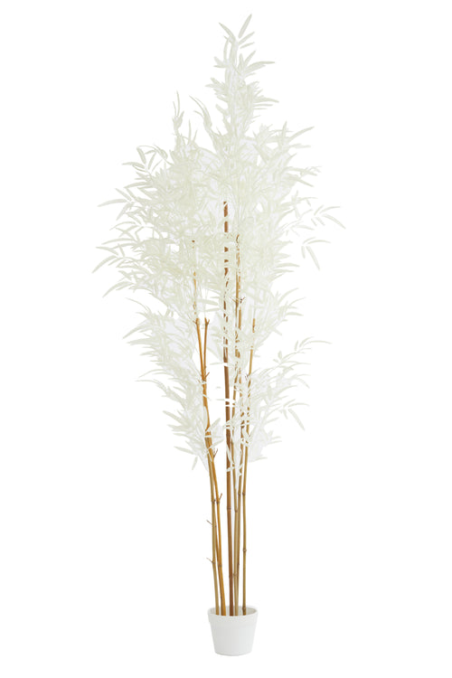 Light & Living pot BAMBOO - 70x60x180cm - bruin